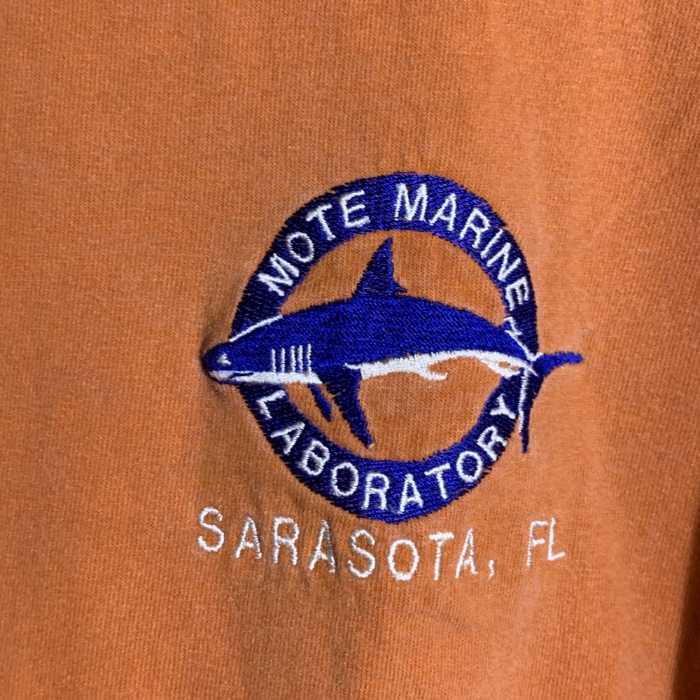 tee shirt - Picture 2 of 3